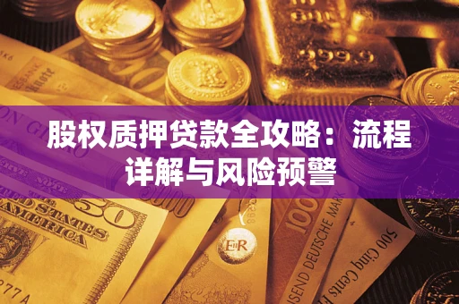 北京股权质押贷款全攻略：流程详解与风险预警