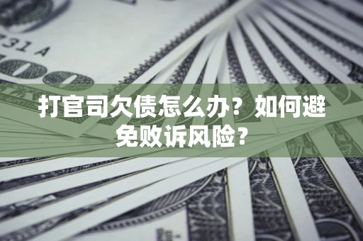 北京打官司欠债怎么办？如何避免败诉风险？