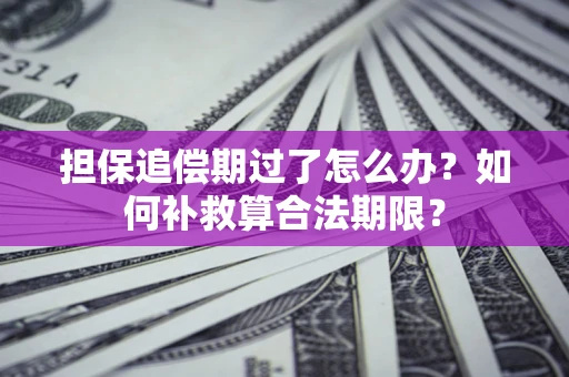 北京担保追偿期过了怎么办？如何补救算合法期限？