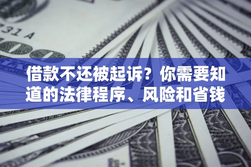 北京借款不还被起诉？你需要知道的法律程序、风险和省钱技巧