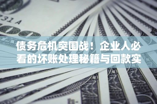 北京债务危机突围战！企业人必看的坏账处理秘籍与回款实战指南